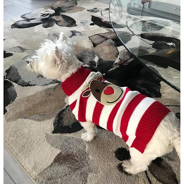 Hunde Reindeer Trøjer Hunde Trøjer Nytår Jul Kæledyr Cl,ZQKLA