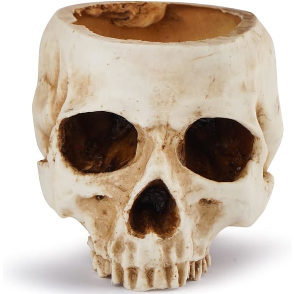 Skull Planter Resin Skull Muotoinen kukkaruukku kotitoimistoon, ZQKLA