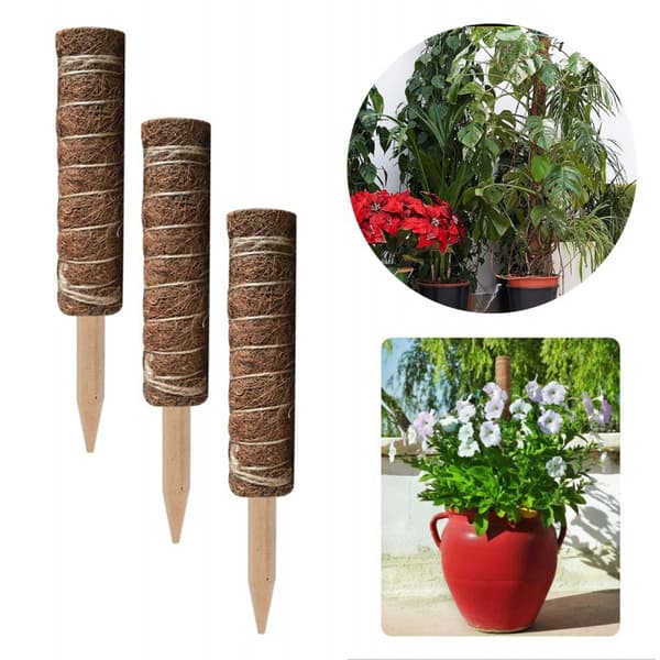 2 Stycken 50cm Växtstöd, Kokos Växtstöd, ZQKLA