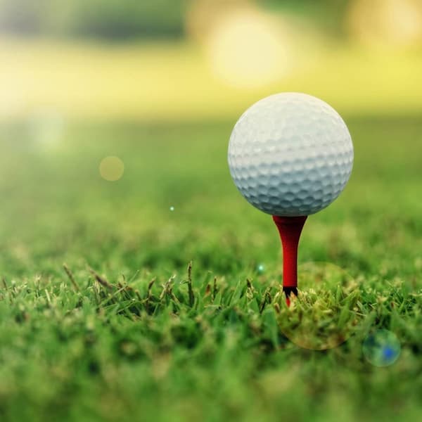 100 st Golf Trä-tees, Golfset, Golftillbehör, ZQKLA