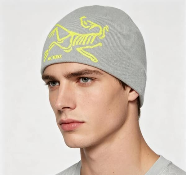 Arcteryx Bird Head Toque for voksne / Orca / ONE Grey A