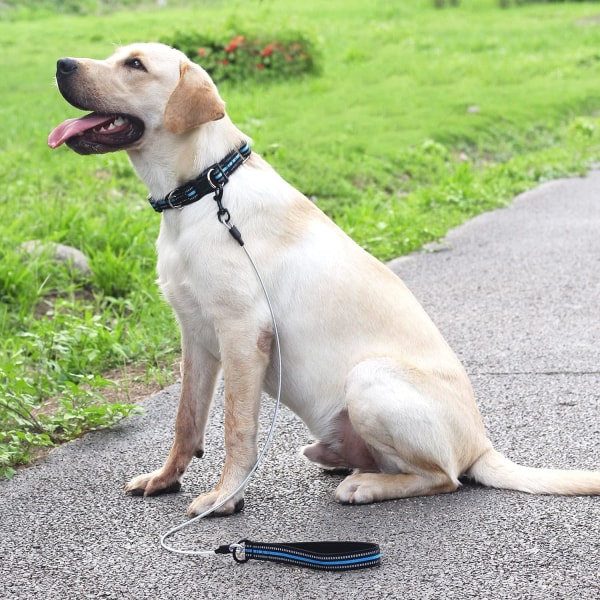 Hundetyggebånd med polstret håndtak, ståltau for små, medium og