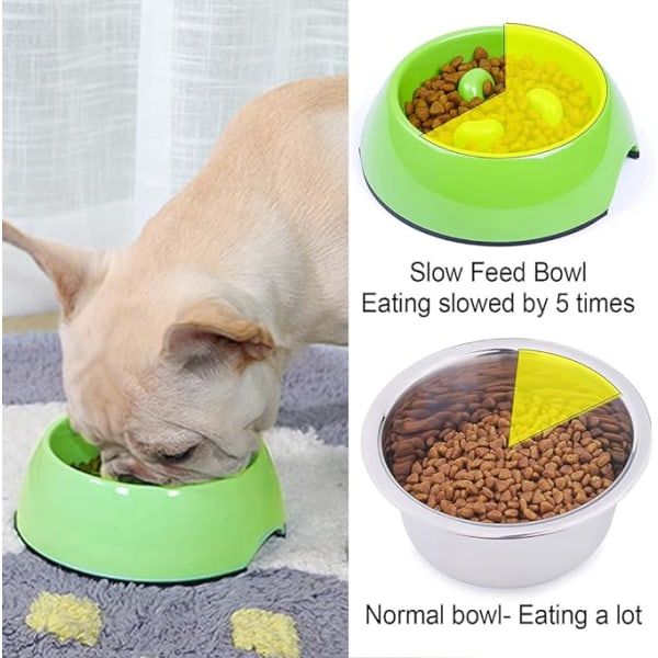 Anti-Glutton Skål för Hund Katt, Halkfri Matskål som Främjar