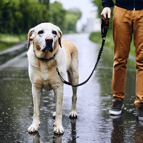 Hundbälte, Elastiskt Nylon Hundbilsele, Justerbart Hundbilbälte, ZQKLA