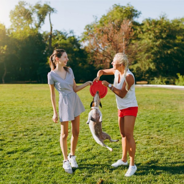 Koiran frisbeeseti 2 kiekkoa 17cm luonnonkumista koiran lelu, ZQKLA