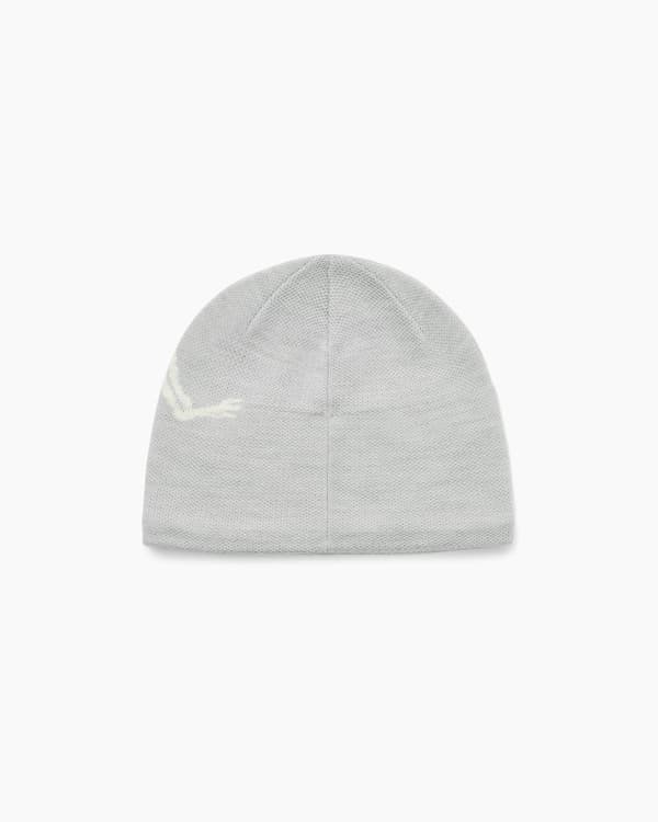Arcteryx Bird Head Toque for voksne / Orca / ONE light gray