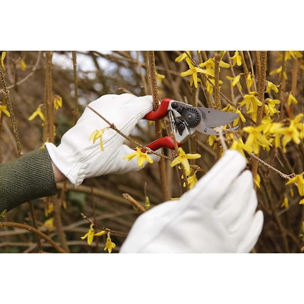Razorsharp Venstrehendt Rett Blad Beskjæresaks 55mm x 210mm x 70mm