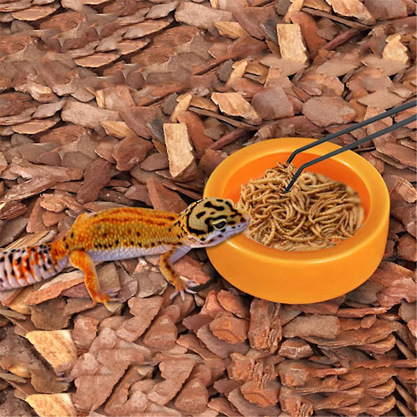 5-pack Reptilmatningsverktyg Pincetter Skål Och Amfibietänger Kl