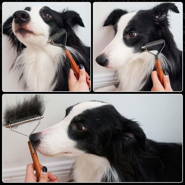 Hunde- og Kattebørste, Pelsbørste til kæledyr, D,ZQKLA