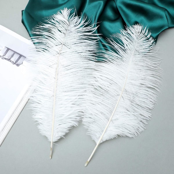 24 stk Champagne Struds fjer i bulk 10-12 tommer Boho fjer til