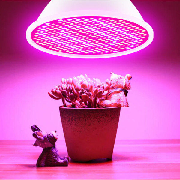 LED-lampe til indendørs plantedyrkning Rød og blå spektrum LED-vækstlamper E14 Hydroponisk planteavllampe Succulent Flo