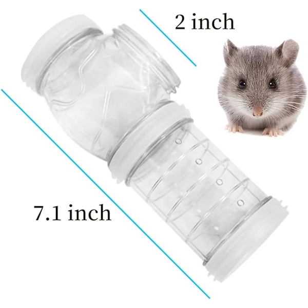 Hamsterrør, utendørsrør for eventyr, transparente materialer