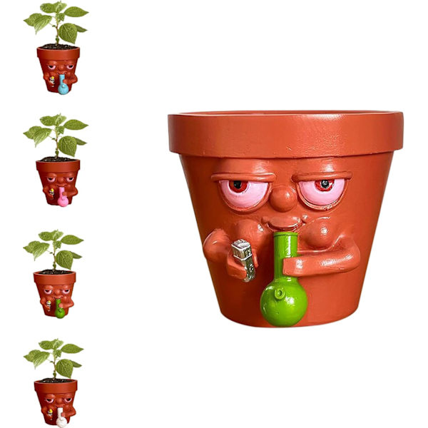 Sjov Potteplante til Sukkulenter Stueplanter, Sjov Plantepotte, Cr