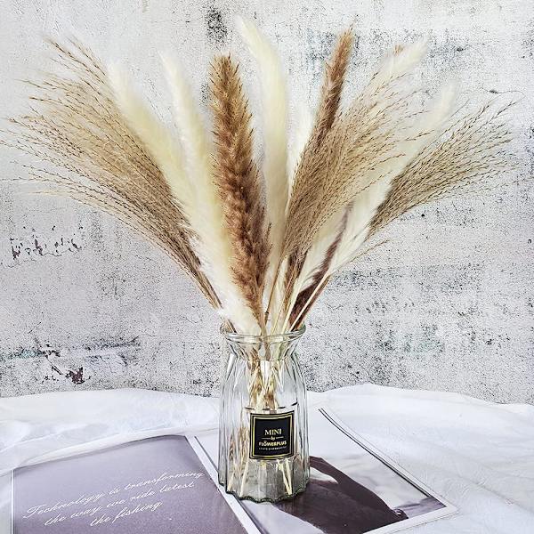 75 stk | 20 stk Hvide Pampas & 20 stk Brune Pampas & 35 stk Siv