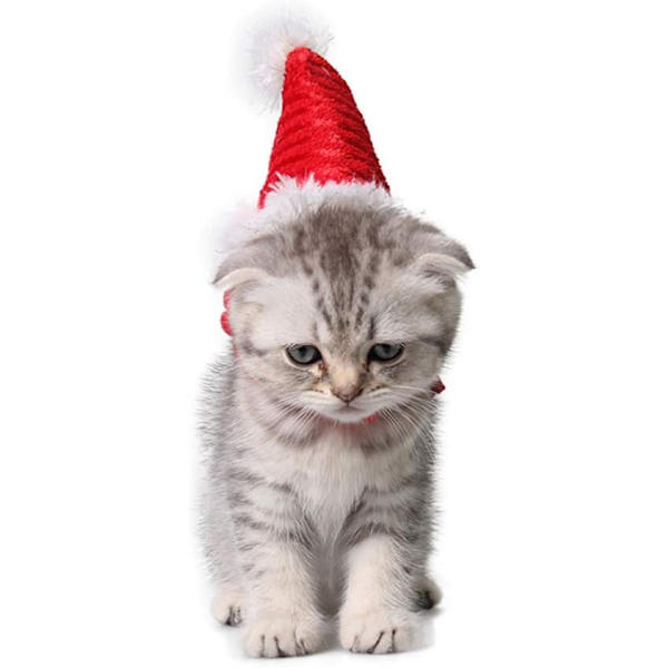 Marsvin Kostume - Katte Julehat til kæledyr - Julehat