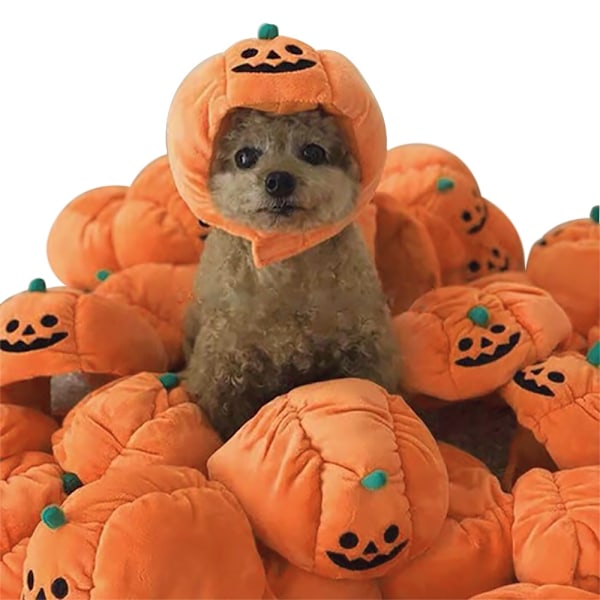 2 Halloween Pumpahattar för Husdjur Teddy Klädsel Huvudbonader Katt Öppna Öron