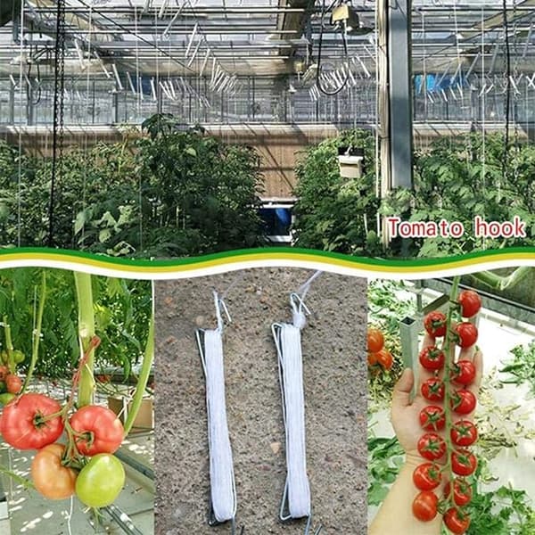 10 kpl Tomaattituki Koukut Tomaatti Koukut 10m Narulla Pl,ZQKLA