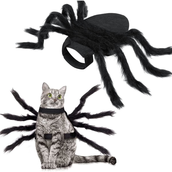 Halloween-spindeldräkt för hundkatt, Halloween-dräkt för husdjur, ZQKLA