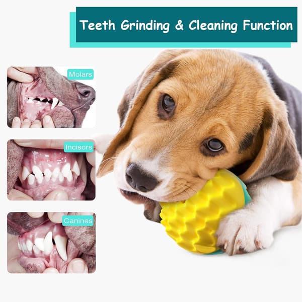 Hundlekboll med Kvitterljud, 2-pack Interaktiva Hundbollar, Tuggsäker, T