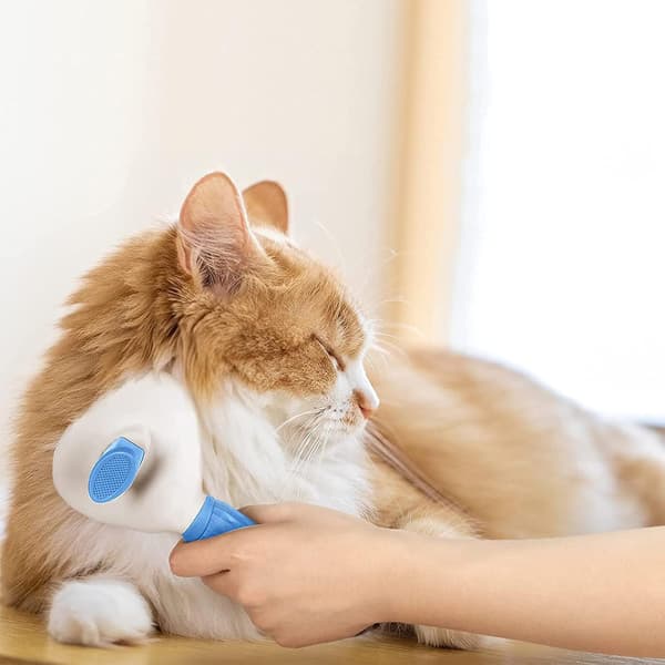 Kattbørste Pelsbørste, Selvrensende Katt Hund Slicker Børster