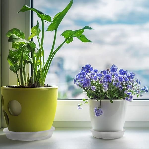 Dewenwils 10-pack Fat för Blomkrukor, Underlägg