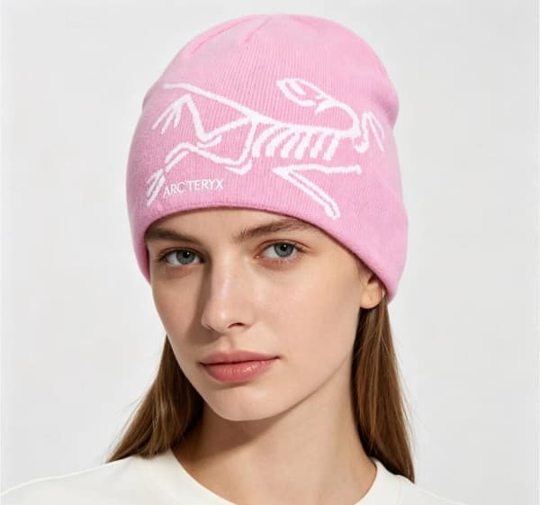 Arcteryx Bird Head Toque for voksne / Orca / ONE Light Pink