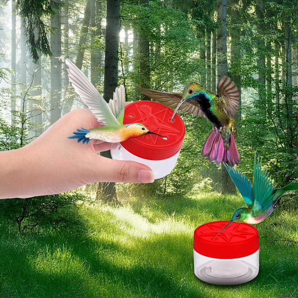 Hånd Kolibri Foderautomater, 2022 Ny Håndholdt Kolibri Foderautomat, ZQKLA