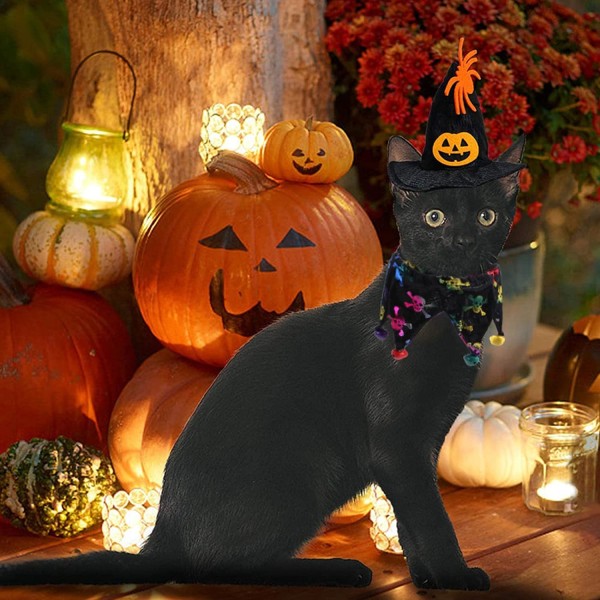 2 delar Halloween Pet Cats Hund Dräkt Set Wizard Hat Bell,ZQKLA
