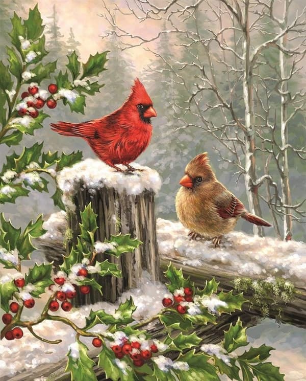 God Jul Trädgårdsflaggor 12 x 18 Dubbelsidig, Kardinalröd B