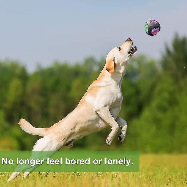LED Hundebold, Bounce-aktiveret Lysende Hundebold