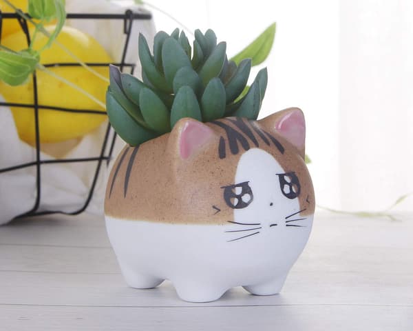 2 st Katt Succulentkrukor, med Dräneringshål, Blomkruka, H