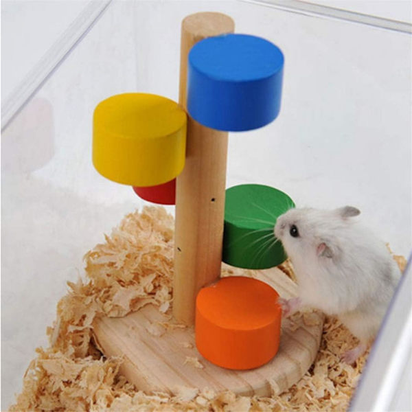 Färgglad Hamstervåg av Premiumkvalitet Hamsterleksak Hamstertandvård