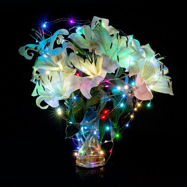 5-pack 1M 10 LED Silver Wire Fairy String Lights LED Firefly,ZQKLA