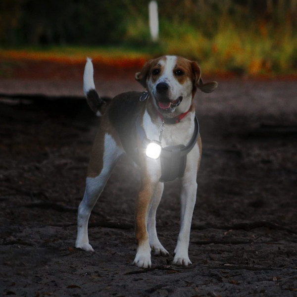 LED Otsalamppu Rintavalo 2 Kappaletta Juoksulamppu 4 Valolla, ZQKLA