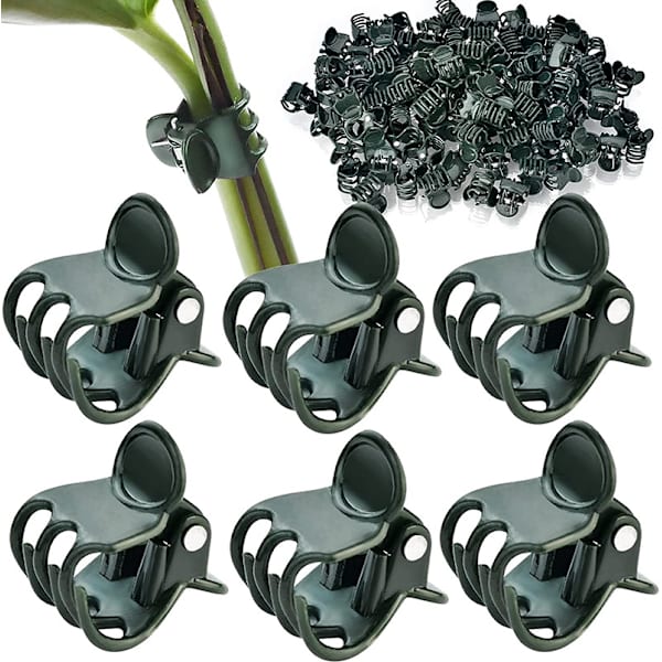 20 Stycken Växtstöd Clips, Klätterväxt Clips, Orkidé, ZQKLA