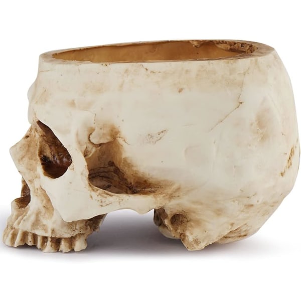 Skull Planter Resin Skull Muotoinen kukkaruukku kotitoimistoon, ZQKLA