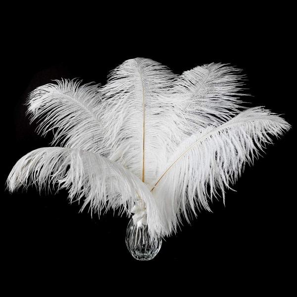 24 stk Champagne Struds fjer i bulk 10-12 tommer Boho fjer til