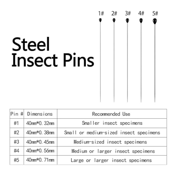 (500 stycken, 5 storlekar) Insektsstift av rostfritt stål Specimen Pi,ZQKLA