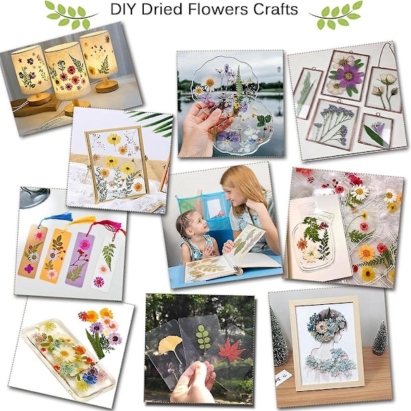 Professionelt blomsterpresse-sæt, 30X21cm DIY blomsterpresse-sæt til voksne til at lave tørrede blomster &