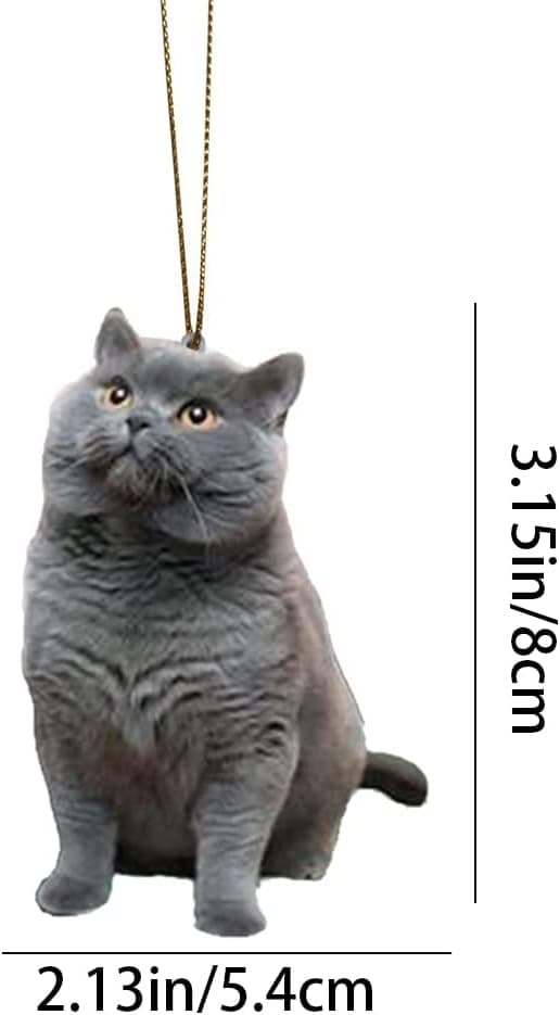 Slitstark Bilbackspegelhänge Levande Katt Bakbackspegel