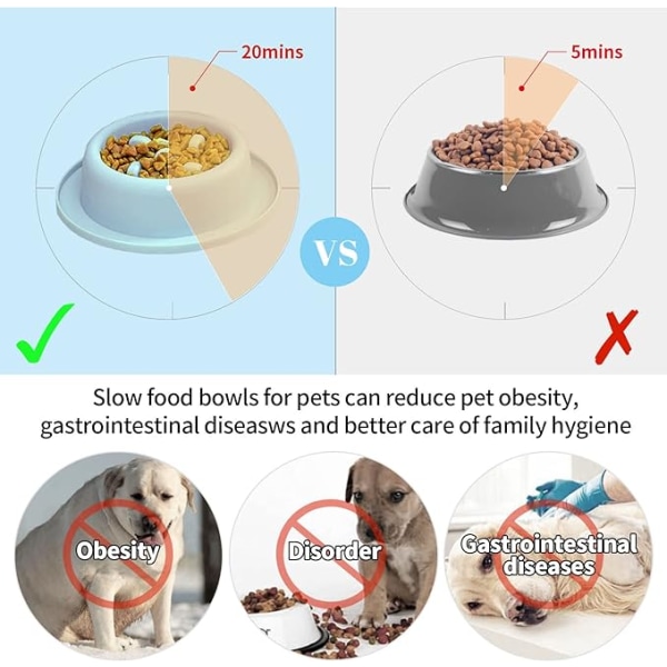 Koiran kulho, koiran Slow Food Bowl Slow Food Bowl främjar hälsosam matto