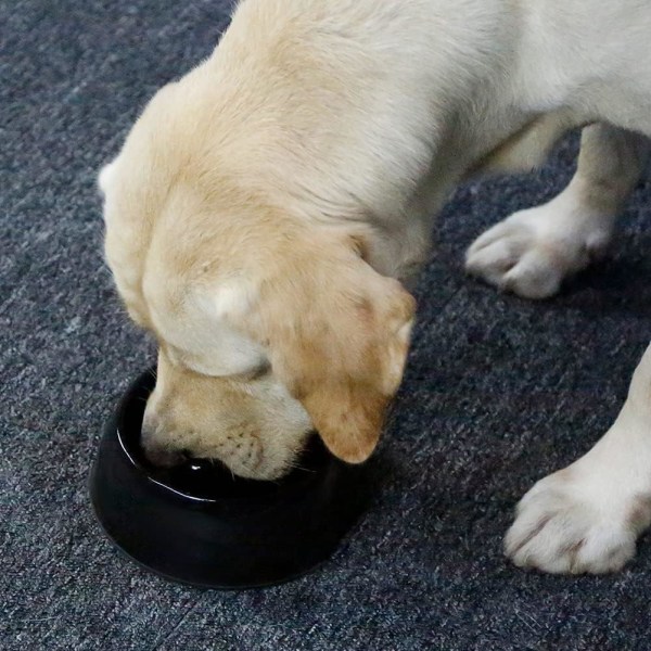 Anti-Glutton Skål for Hund og Katt, Sklisikker Fôringsskål som Fremmer