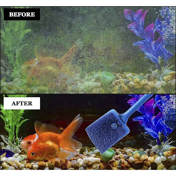 Akvariumsglas, Akvariumsglasrengöring, Akvariumrengöring S,ZQKLA