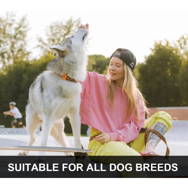 1 stk. hundefløjte med snor, professionel hundetræningsfløjte, ZQKLA
