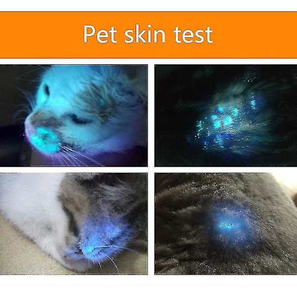 Lätt handhållen Woods lampa våglängd ultraviolett diagnostisk uv hud svampdetekteringsanalysator + ficklampa funktion
