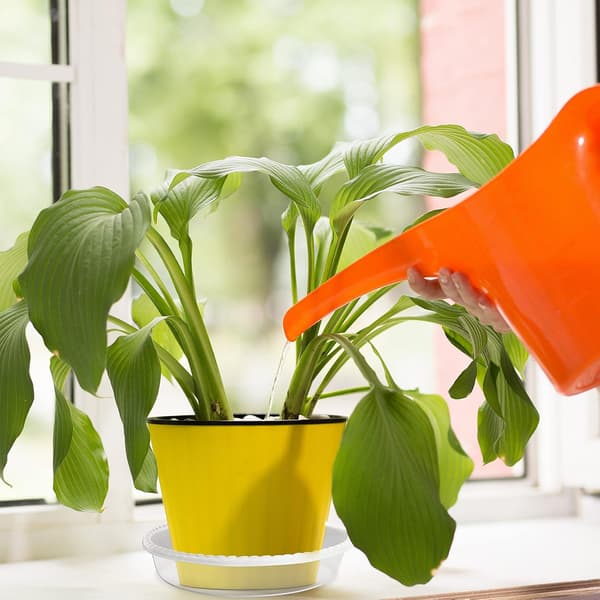 Dewenwils Plastskål for Planter (30-pakning) - Underskål