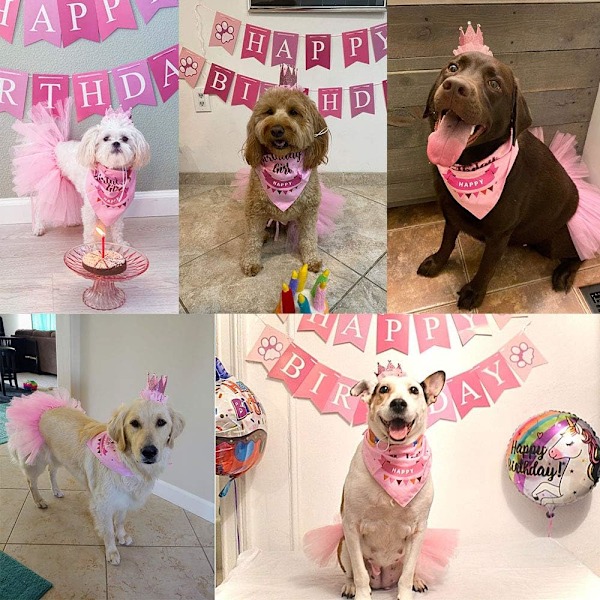 Hunde fødselsdag bandana hat banner sæt, søde, festartikler
