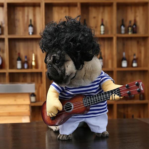 Guitar Hundekostumer Kæledyr Tøj Hundeklæder Dragt til Hvalp