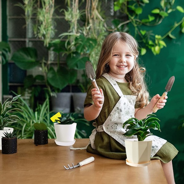 Plast plantekasser Assortert blomsterplantepotter Frøplante barnehage