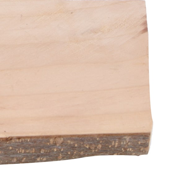 Papegoja stående plattform Naturligt trä Papegoja abborre Pinne Fågel stående lekplats7‑8/15